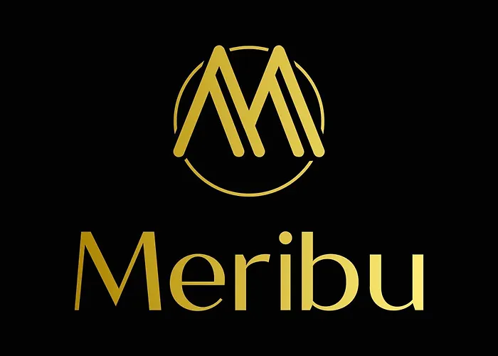 Meribu E1 Fuer Monteure Und Arbeiter Gelsenkirchen